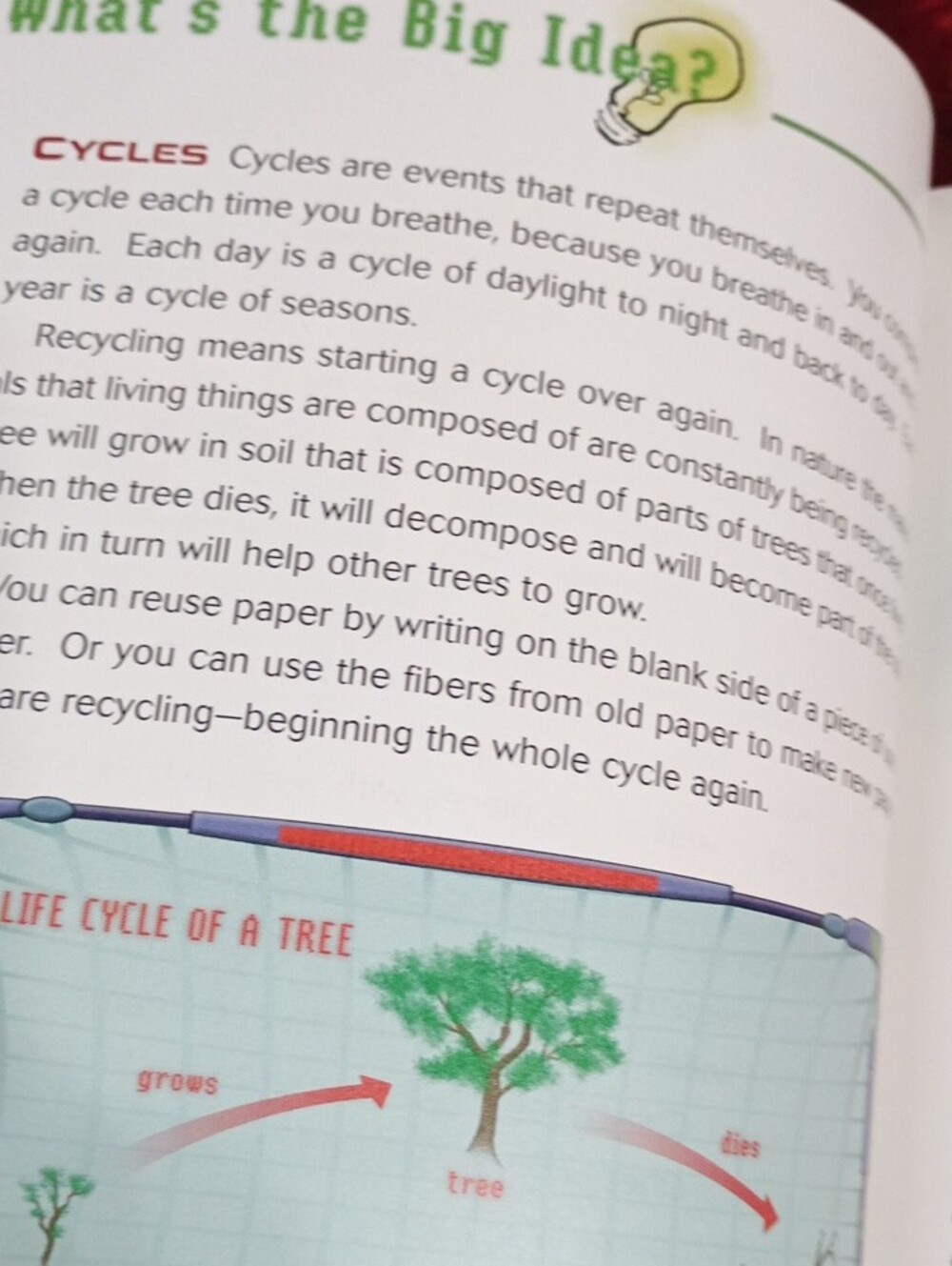 Junk Lab Science Activity Book - Yellow - Picture 13 of 16